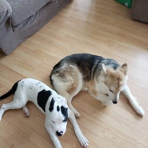 Meet your Posher, Cory